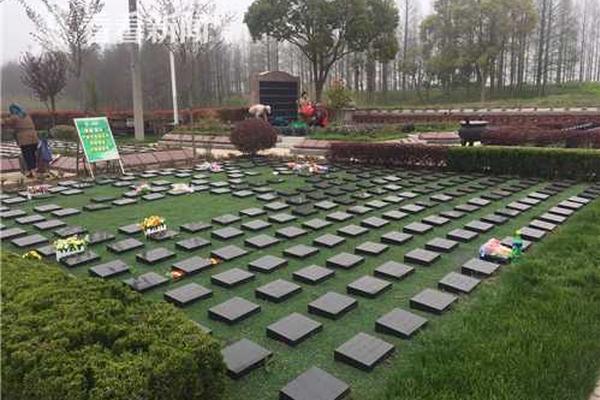 永劫无间萤火虫在哪里