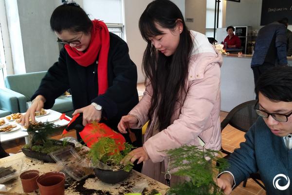 怪物猎人世界陷阱猫任务怎么做 