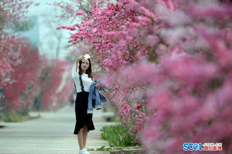消逝的光芒2怎么快速收集抑制器箱子