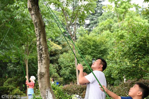 再刷一把陈有什么特点