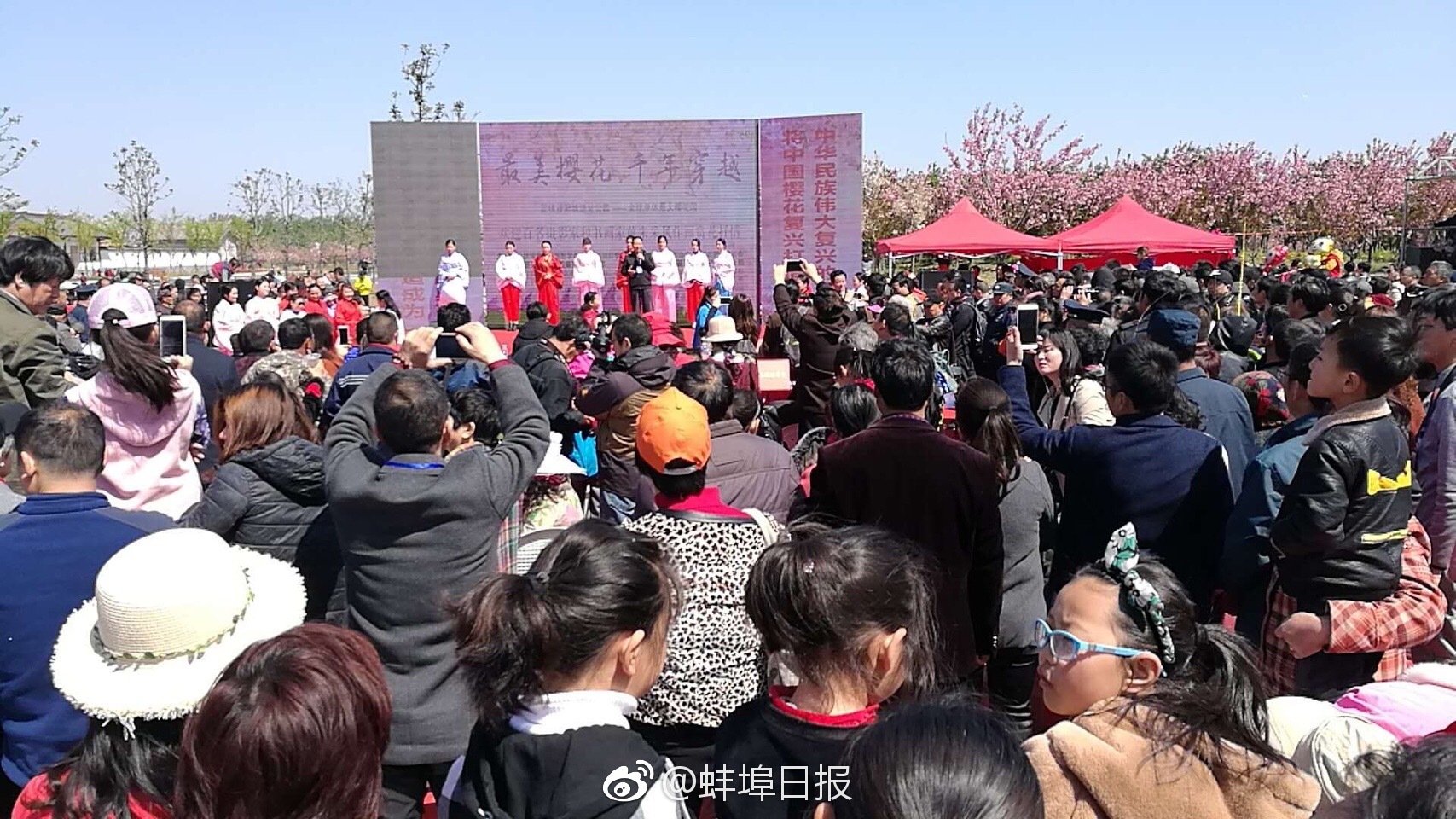 艾尔登法环战灰猎犬步法怎么获得
